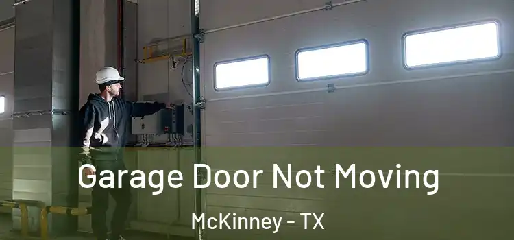  Garage Door Not Moving McKinney - TX