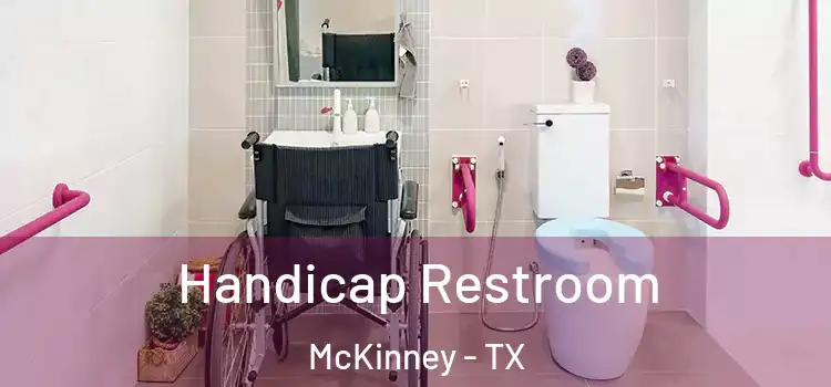  Handicap Restroom McKinney - TX