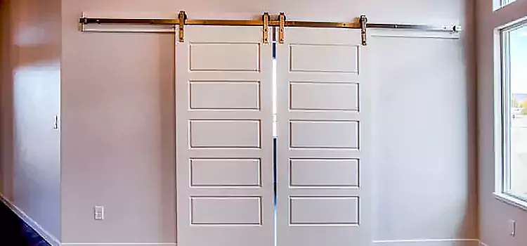 Glass Barn Door with Installation Hardware Kit McKinney